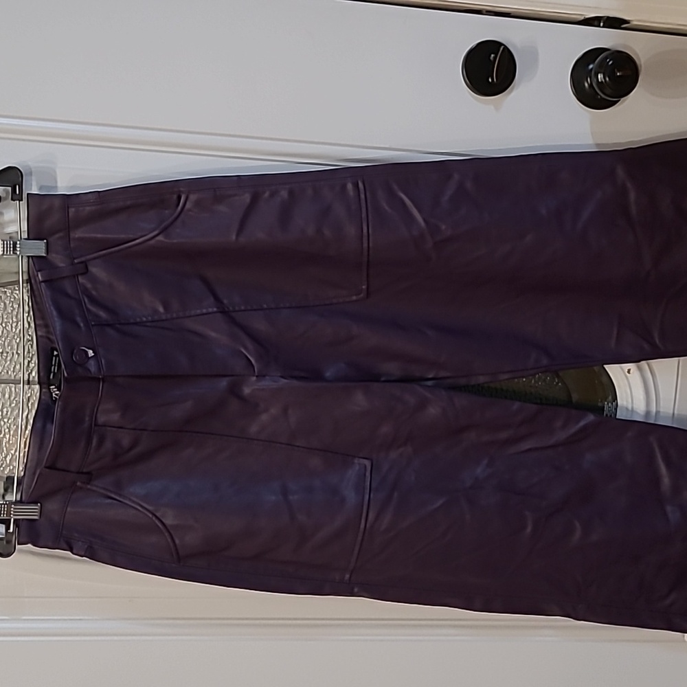 Zara  pants